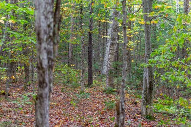 85 Locke Falls Rd, Tamworth, NH 03897 - photo 7