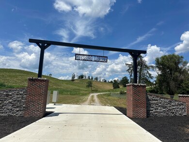 Tract 29 Pittsburg Landing Rd, London, KY 40741 - photo 4