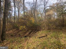 15 ACRES River Rd, Unger, WV 25411 - photo 2