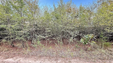 2 S 4531 Rd, Vian, OK 74962 - photo 4