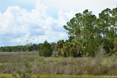 00 Yates Creek Rd, Perry, FL 32348 - photo 2