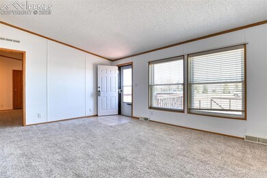 10120 Horseback Trail, Peyton, CO 80831 - photo 3