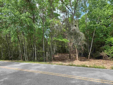 1131 Wolf Log Rd, Flomaton, AL 36441 - photo 5