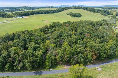 TBD Old B and O Rd, Spottswood, VA 24476 - photo 3