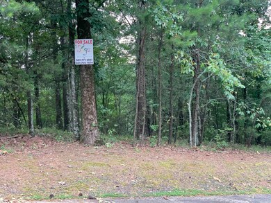 0 Rivermist Pointe Dr unit 23019601, North Little Rock, AR 72118 - photo 2