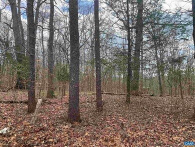 TBD Doctors Crossing, Charlottesville, VA 22911 - photo 2