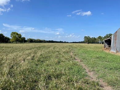 6931 Kamas Ln, Needville, TX 77461 - photo 5