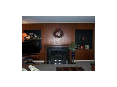 Fireplace and Shelving