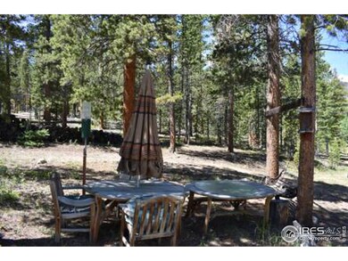 86 Arapaho Dr, Bellvue, CO 80512 - photo 5