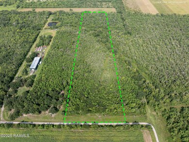 Tbd Flying F Ranch Rd, Indian Bayou, LA 70578 - photo 4
