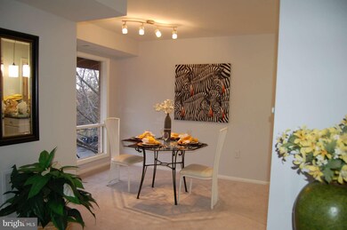 202 Park Terrace Ct SE unit 19, Vienna, VA 22180 - photo 5