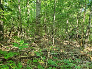 00 Staton Ridge Rd, Saluda, NC 28773 - photo 6