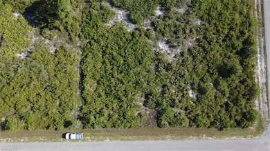 15 W 13th St, Lehigh Acres, FL 33972 - photo 2