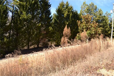 320 Laurel Branch Trail, Tamassee, SC 29686 - photo 2