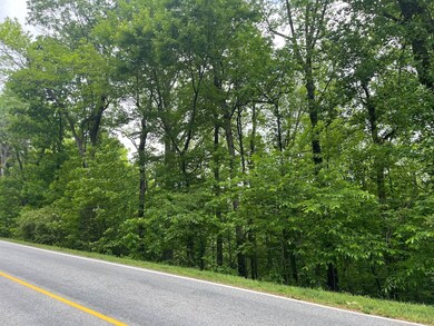 0 Plumley Summit Rd unit 11495050, Landrum, SC 29356 - photo 6