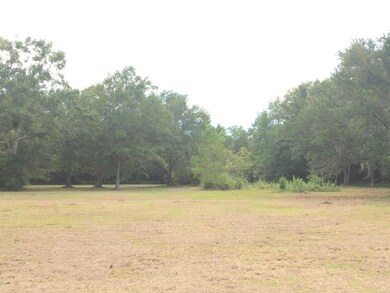 Large Lot