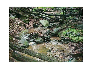 STONE OUTCROPINGS CONTROL WATER FLOW & WIDTH OF ST