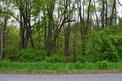 DSC_0009