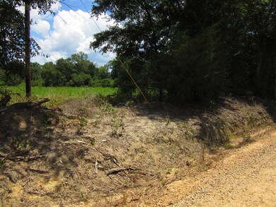 000 Eudon Best Rd, Ashford, AL 36312 - photo 4