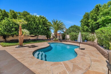 Large Backyard Paradise