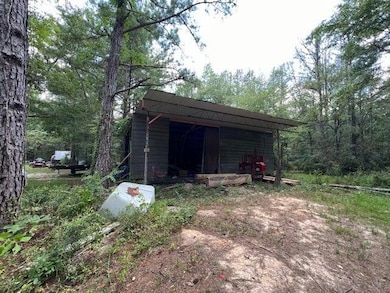 00 S Hwy 43, Columbia, MS 39429 - photo 2