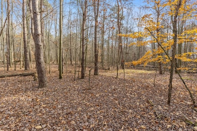 14944 Shaner Ave NE, Cedar Springs, MI 49319 - photo 7