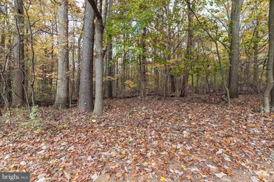 0 Timber Grove Rd unit 1004187911, Reisterstown, MD 21136 - photo 4