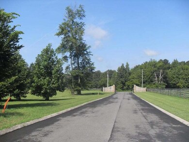 Street Loblolly Lane