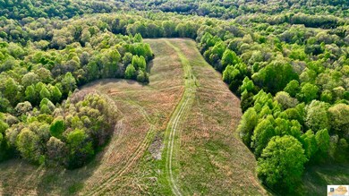 52 Acres Weed Keltner Rd, Columbia, KY 42728 - photo 5