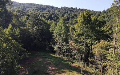 Additional View