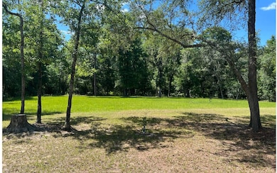 284 SW Blast Ct, Fort White, FL 32038 - photo 3