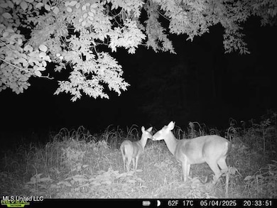 00 Old Highway 80 E, Morton, MS 39117 - photo 7