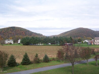 34 Taylor Hill Rd, Hughesville, PA 17737 - photo 3