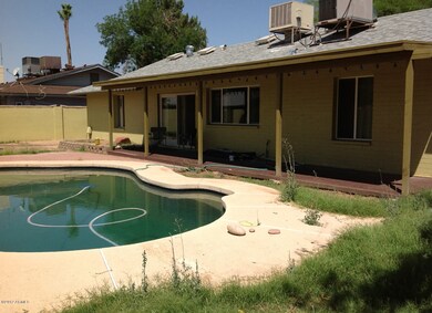 Back Yard and Pebble Tec Pool
