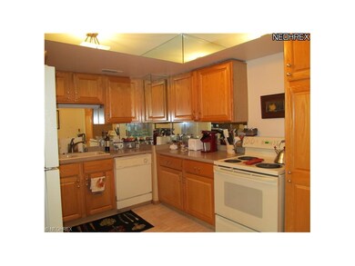Wonderful updated kitchen - bright and spacious