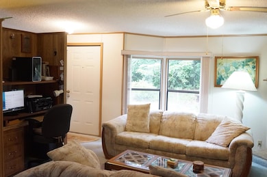 Living room modified bay window