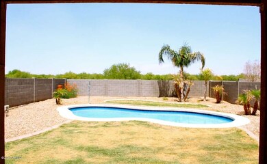 backyard2