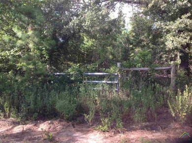 13015 County Road 285, Tyler, TX 75707 - photo 3