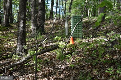 0 Lot # 72 Mallard Dr unit VASH2003080, Basye, VA 22810 - photo 4