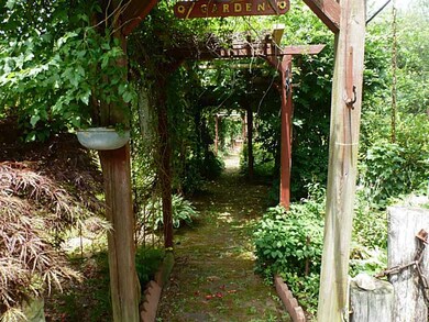Yard/Garden.