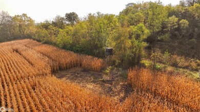 000 61st Place, Melcher Dal, IA 50062 - photo 6