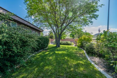 South Side Yard