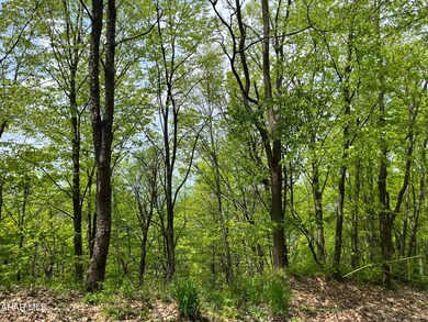 00 Iron Masters Rd unit Lot 128, Claysburg, PA 16625 - photo 3