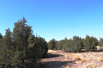 1731 Silver Lake Blvd, Show Low, AZ 85901 - photo 5