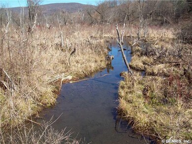 Exterior Front. Creek running through the property