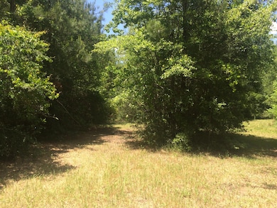 1016 W Mchenry Rd, McHenry, MS 39561 - photo 6