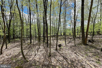 Lot 100 Snowhaven, Mc Henry, MD 21541 - photo 7