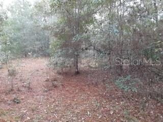 0 SW Sunnydale St, Dunnellon, FL 34431 - photo 4