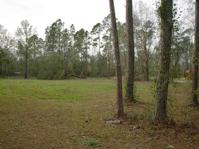 unlisted-address, Saint Augustine, FL 32092 - photo 2