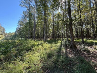 233 Zara Spook Dr, Cedar Grove, TN 38321 - photo 6